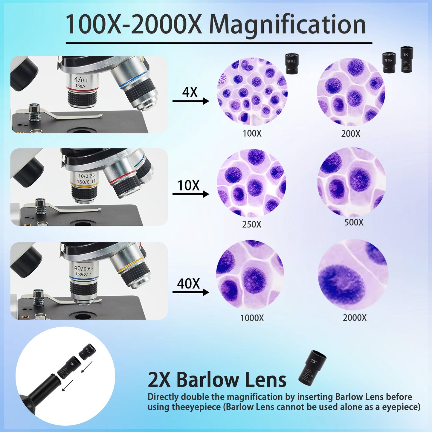 40X-2000X Microscopes for Kids Adult Students, Lictin Professional Biological Microscope with Slides Set & Phone Adapter, for School Home Education